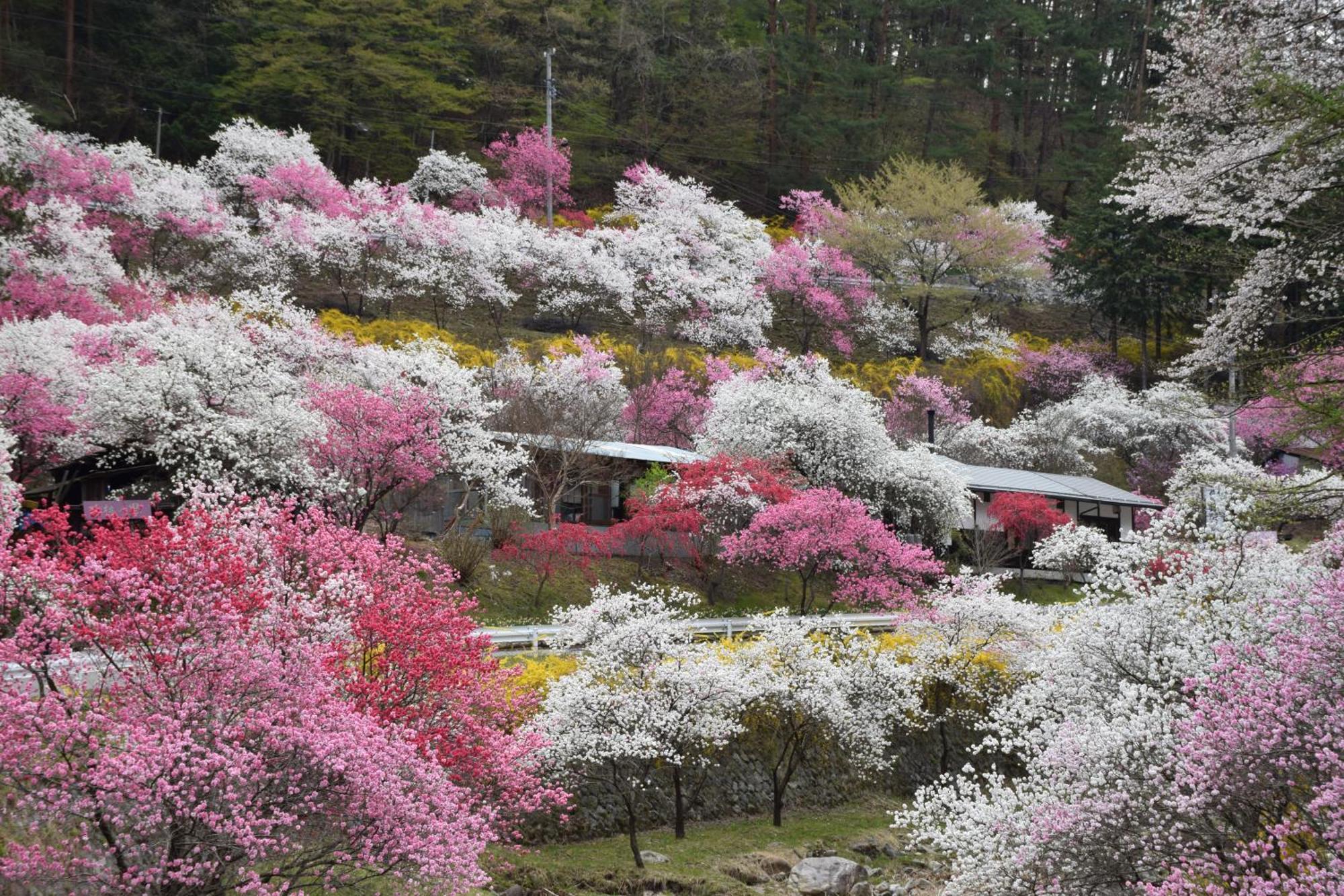Hotel Yamabuki Komagane Luaran gambar